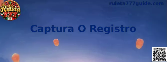 Ejemplo de captura o registro para soporte técnico